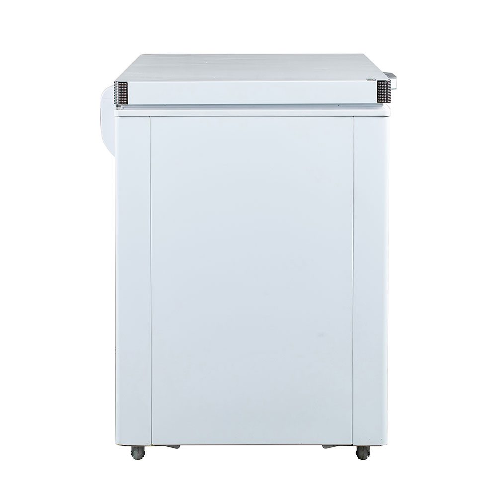 - Tủ đông Alaska BD-400CI - hình số 3