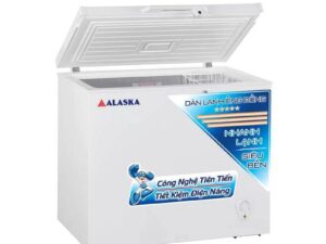 Tủ đông Alaska BD-300C - hình số 2