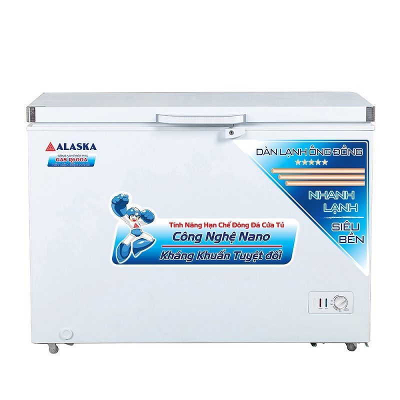 Tủ đông Alaska BD-400C - hình số 1
