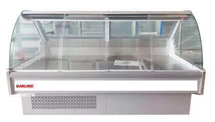 Tủ đông Darling DL-230TNC - hình số 1