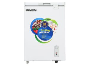 Tủ đông Hòa Phát HCF 106S1Đ1 - hình số 1
