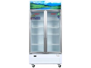 Tủ mát Sanaky VH-1009HP - hình số 1