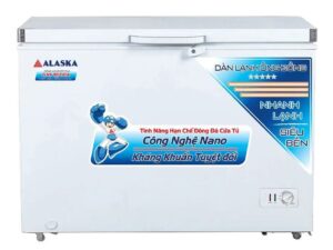 Tủ đông Alaska BD-300C - hình số 1