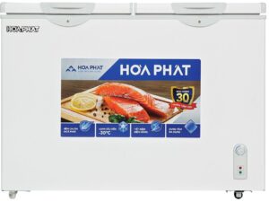 Tủ đông Hòa Phát HPF BD6245 - hình số 1