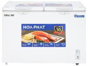 Tủ đông Hòa Phát HPF BD8271 - hình số 2