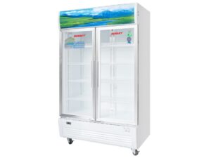 Tủ mát Sanaky VH-6009HP - hình số 2