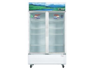 Tủ mát Sanaky VH-1209HP - hình số 1