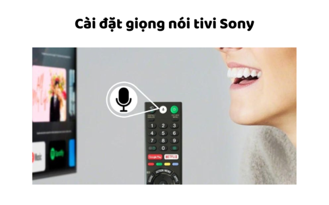 Cài đặt Giọng Nói Tivi Sony